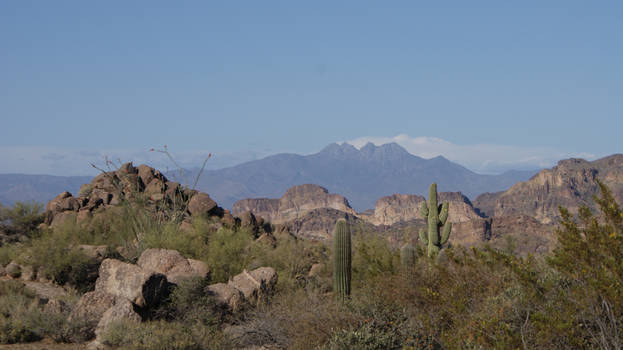 Four Peaks 1