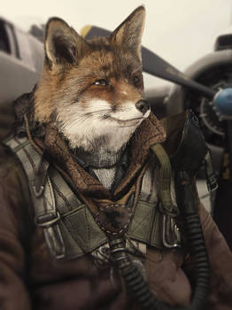 Fox Pilot