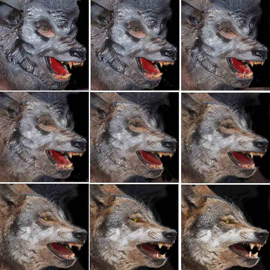 Werewolf Rectnum Werewolf Sequence 5 by oboroten on DeviantArt