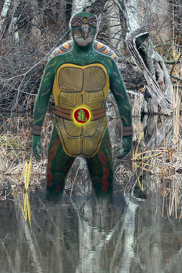 Anthropomorphic Turtle by oboroten on DeviantArt