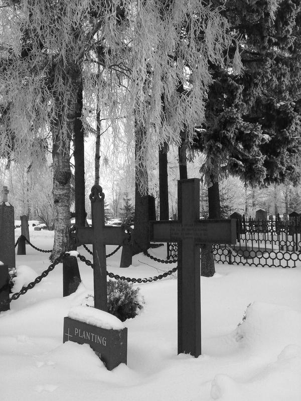 Winter graveyard VI