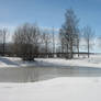 Frozen pond in Raahe....