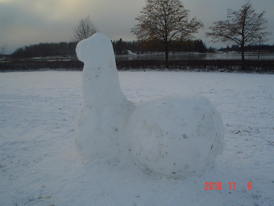 Snow llama II