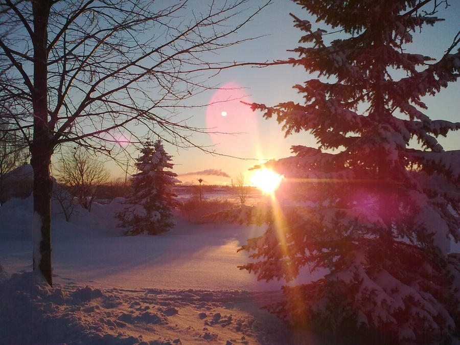 Winter sunset and pink orbs