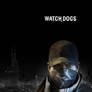 Watch Dogs
