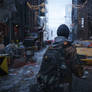 The Division
