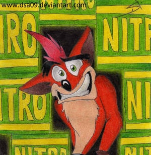 Crash bandicoot nitro problem