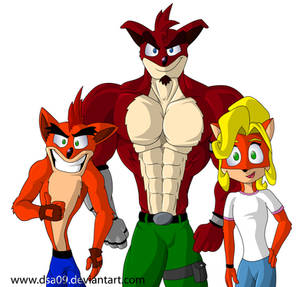 Bandicoot family