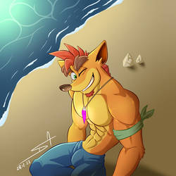 Crash Bandicoot adult