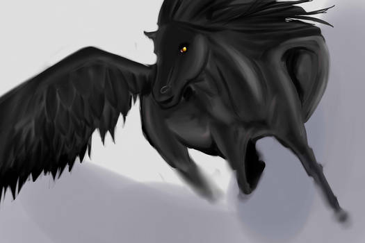 Black winged horse