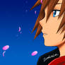 One sky, one destiny Sora