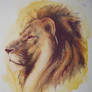 Colored pencil lion