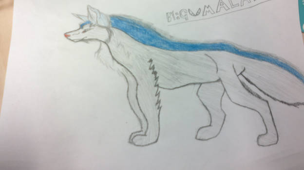 Wolf Drawning