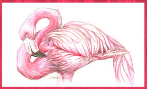 pink pink flamingo by IamSKETCHcat