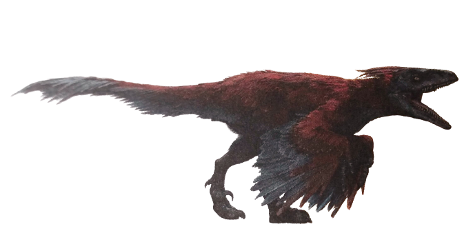 Pyroraptor Render by GojiKid on DeviantArt