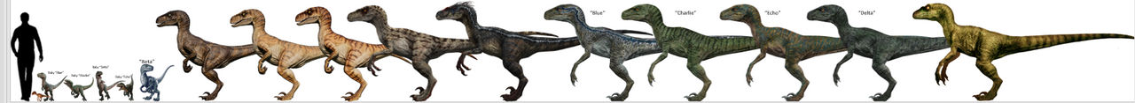 Jp Raptor Size Velociraptor Size Comparison JP (1993 - 2022) by GojiKid on DeviantArt