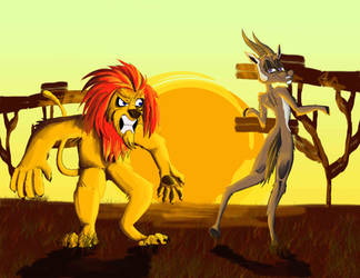 Angry Lion and Trolling gazelle