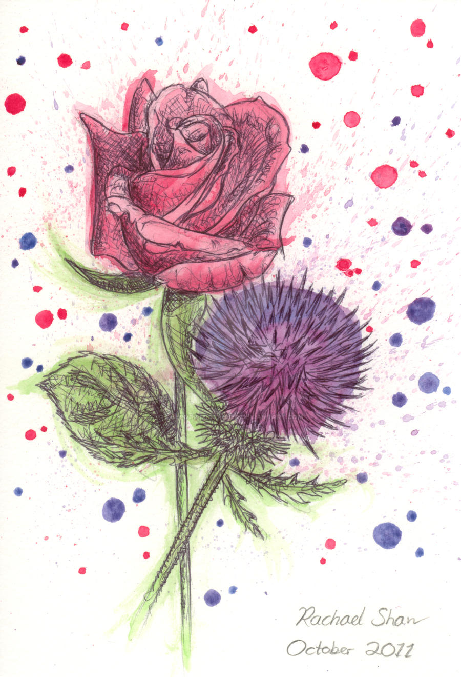 A Rose and Thistle