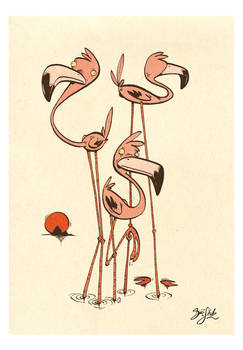 Flamingos