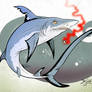 Shark 14 - Pelagic Thresher