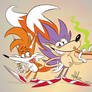 Sonic and Tails Again