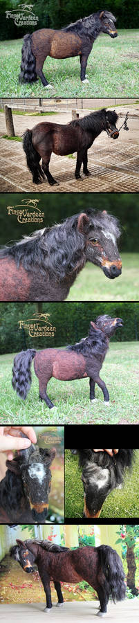 Shetlandpony 'Peppie'