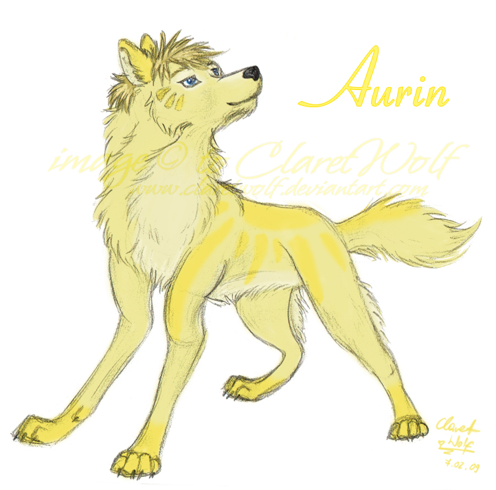 Aurin