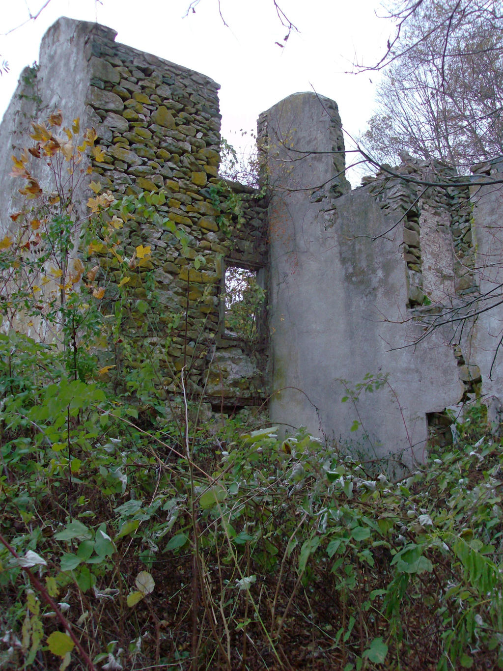 Ruins at Springton 3