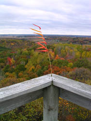 Plant on a Tower,Hoffman Hills