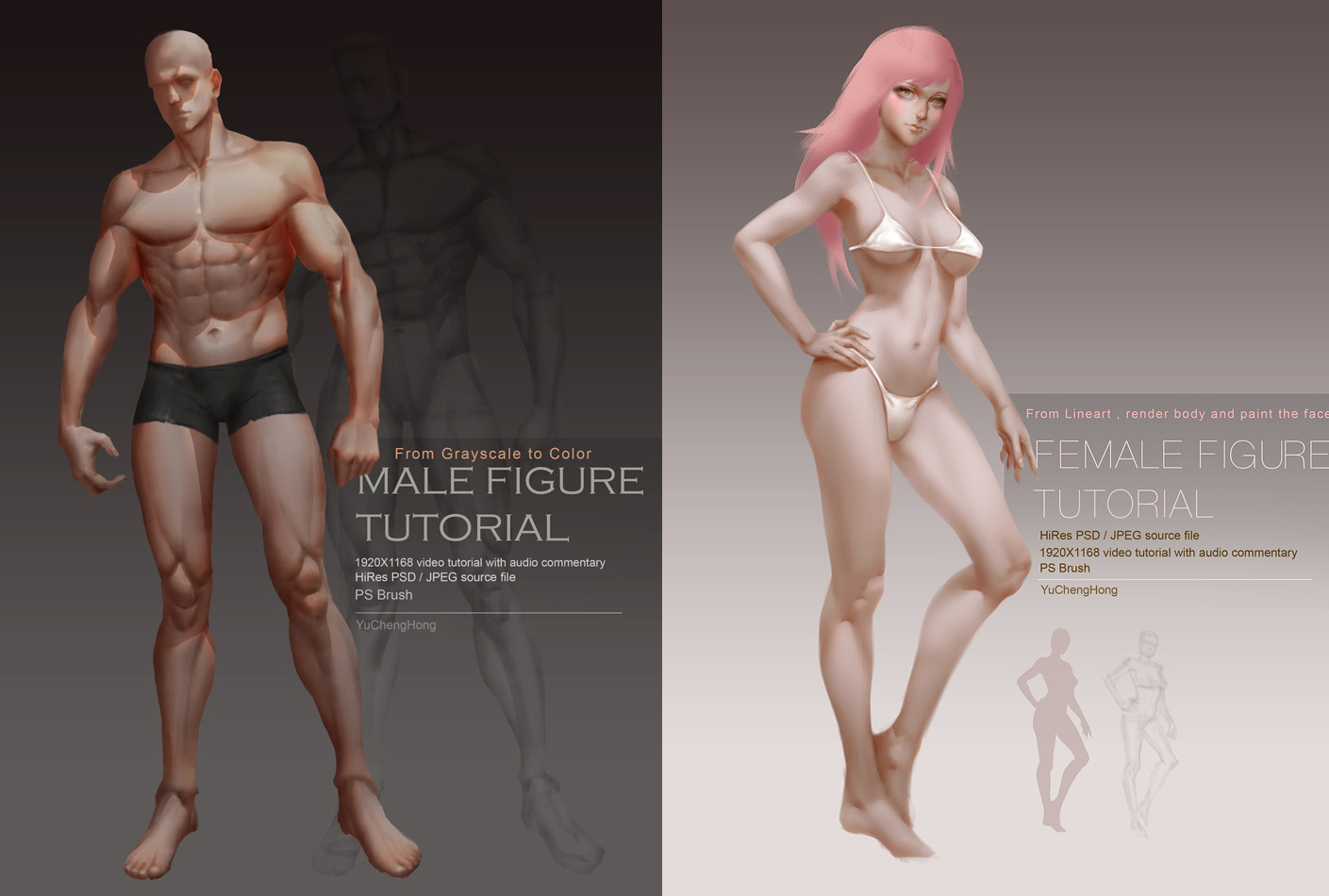 Female / Male Body Tutorial