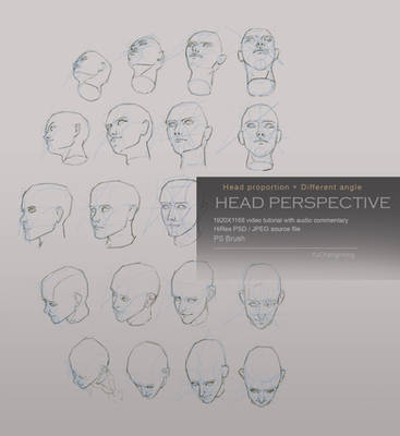 Head perspective tutorial