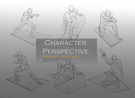 Character Perpective