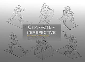 Character Perpective