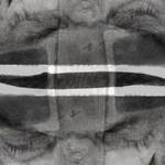 Schizophrenic by Art2mys