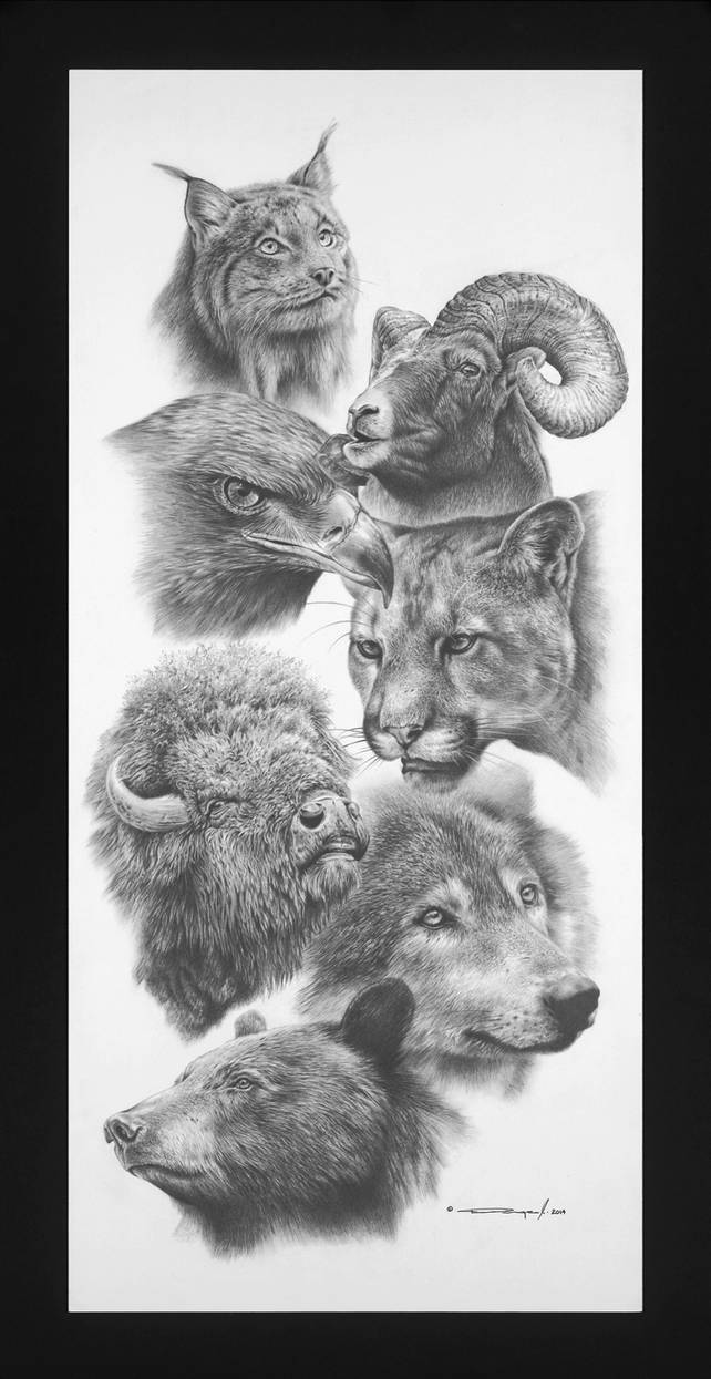 Canadian Races Drawings Canadian Heritage by denismayerjr on DeviantArt