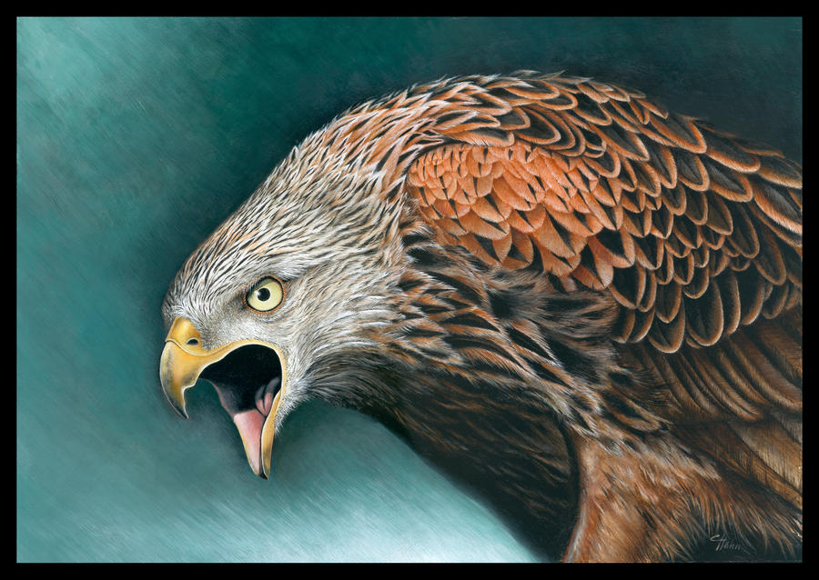 Abstract Red Kite The Red Kite by Heliocyan on DeviantArt
