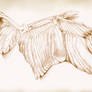 Bones