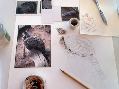 Wildlife art workshop