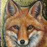 The golden fox