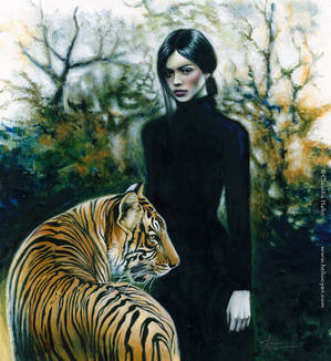 Crazy Cat Lady by Heliocyan Crazy Cat Lady by Heliocyan