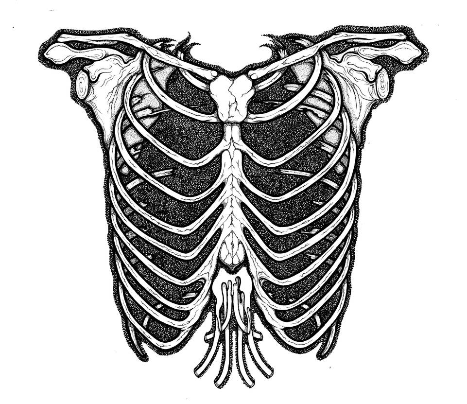 Rib Cage Edit Final 4 by EMC-Artwork on DeviantArt