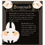 Bunborbs: New Open Species!