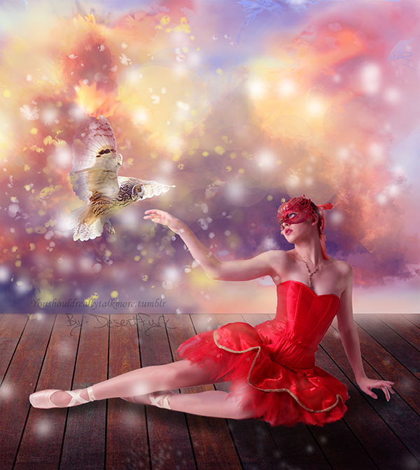 Ballerina's Dream