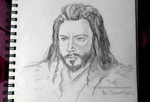 Thorin_ Before the Dawn