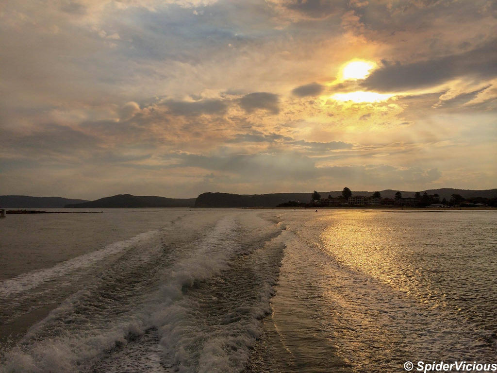 Ettalong Ferry By SpiderVicious On DeviantArt ettalong-ferry-by-spidervicious-on-deviantart