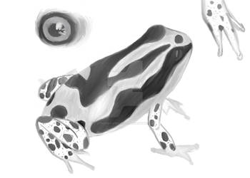 Poison Frog Study