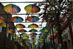 Umbrella Street, Puerto Plata, DR