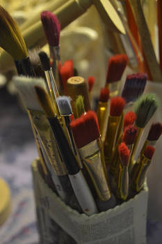 Nikon Paintbrushes