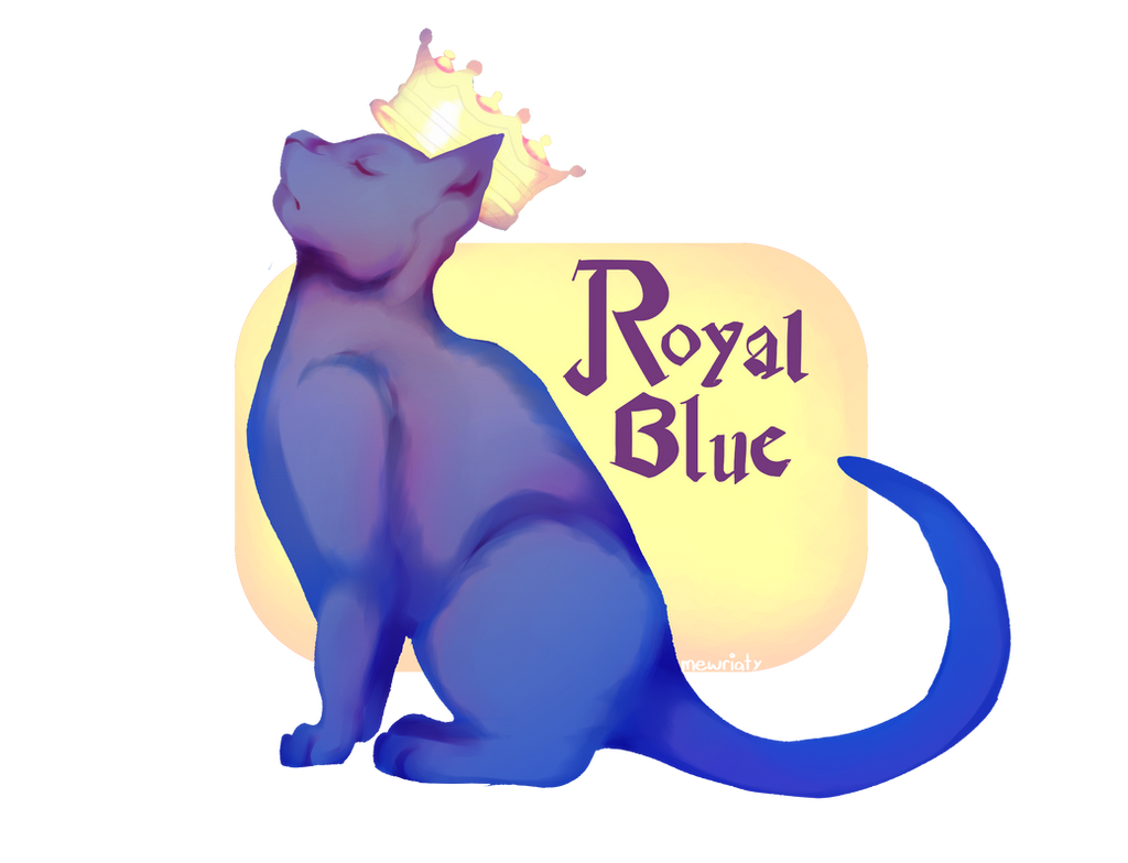 Blue Cat Roe Royal Blue Cat by mewriaty on DeviantArt