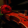 Rose and Violin